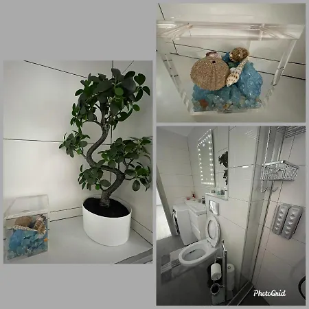 33 Oreo Apartmán Năvodari